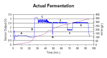 Actual Fermentation chart